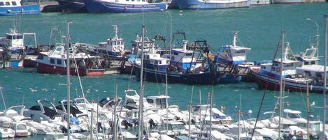 A marina with numerous boats docked.