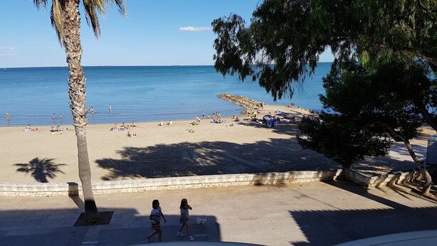 Una playa con gente tomando el sol y caminando, palmeras y una vista despejada del mar.