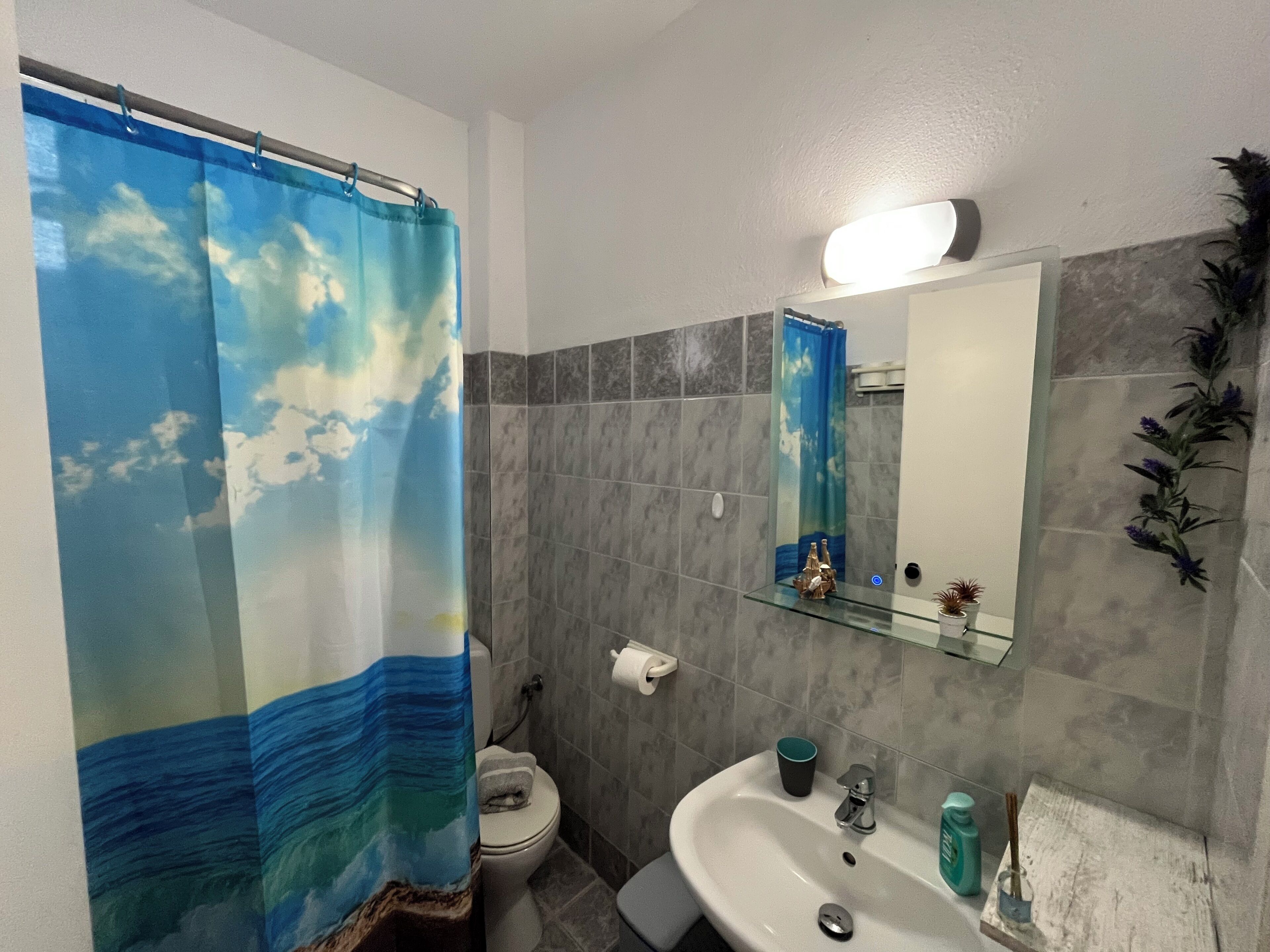 A bathroom with a shower curtain depicting a seascape, a toilet, a sink with a mirror above it, and a wall-mounted light fixture.