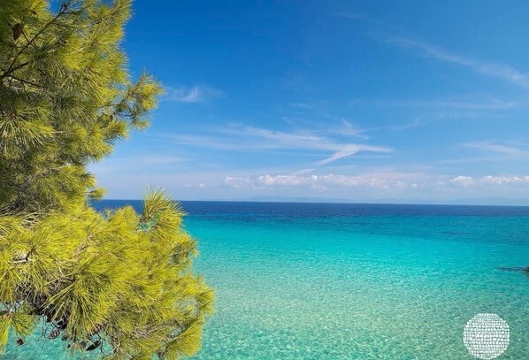 Plage à proximité