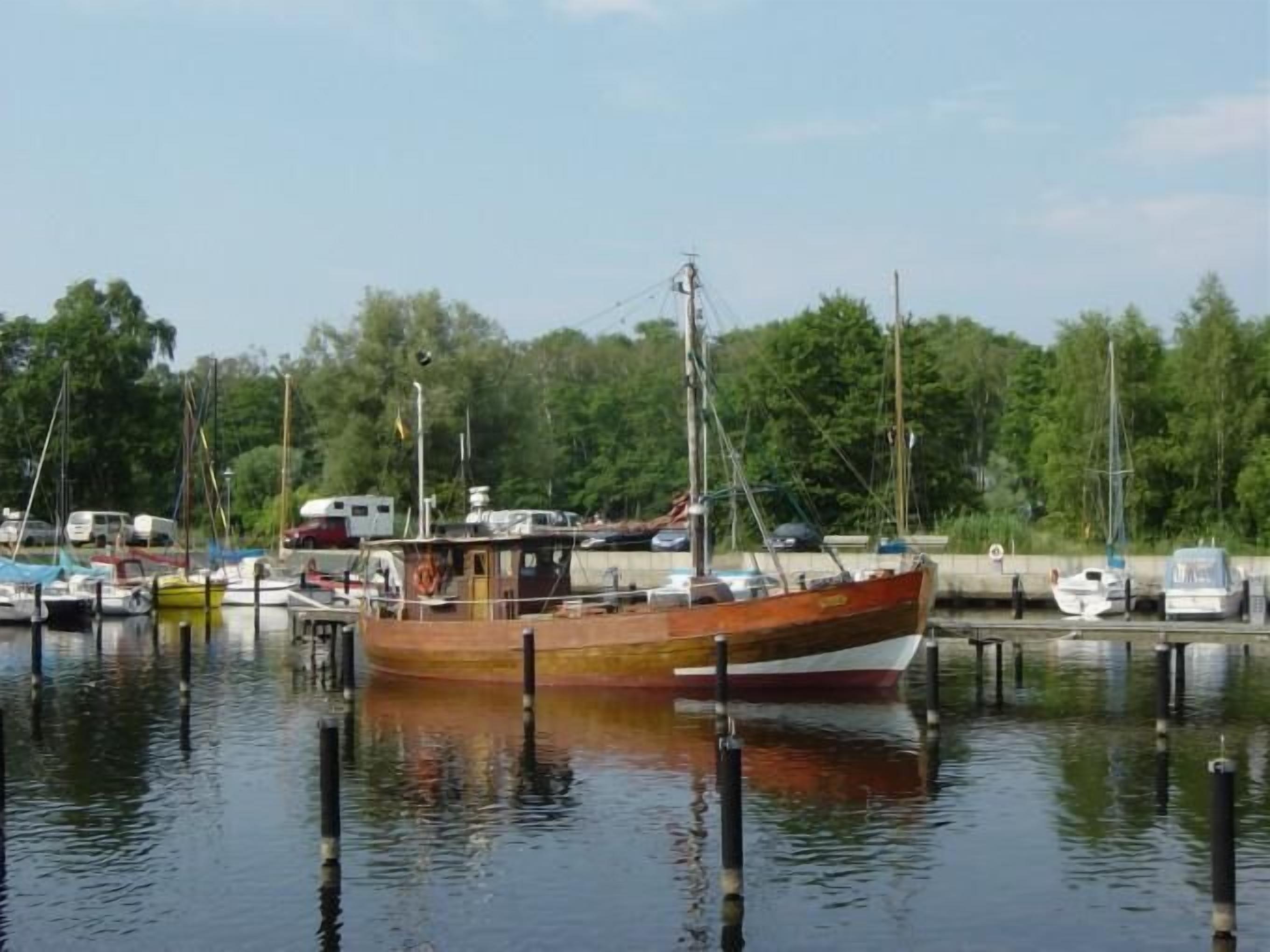 A marina with several boats docked, surrounded by trees.