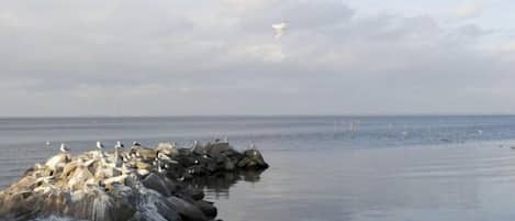 Pemandangan pantai/laut