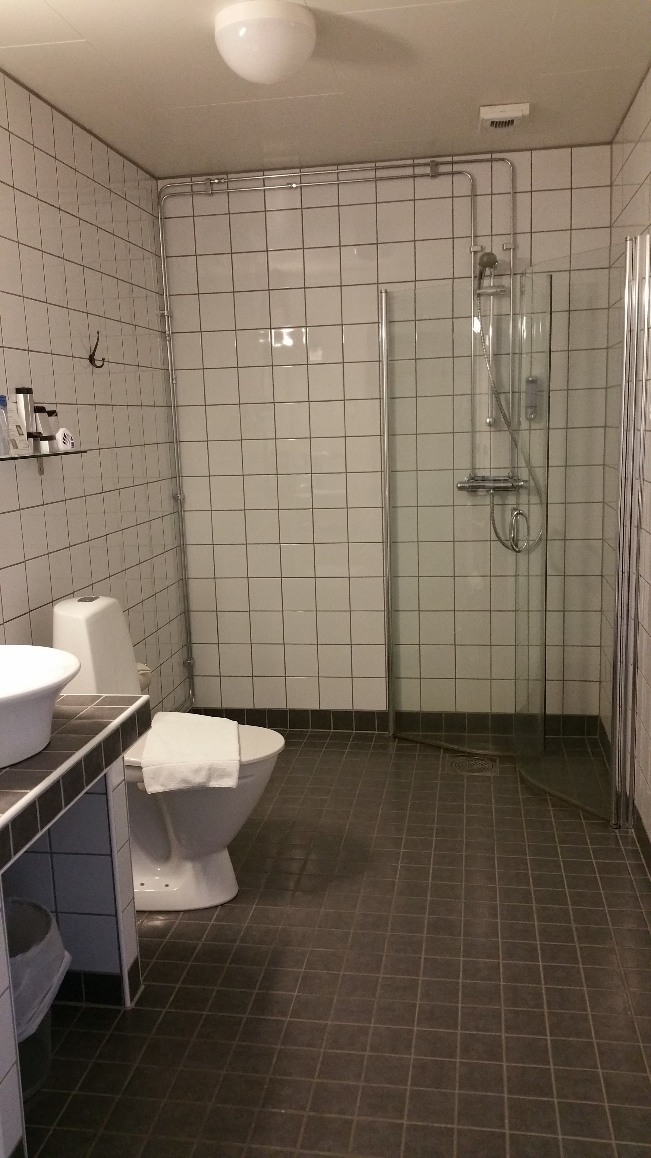 Un baño con ducha, inodoro y lavabo.