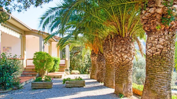 A courtyard with palm trees, a stone wall, and a building with a balcony. - Casa Luppoli (Portoferraio)