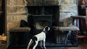 Una chimenea de piedra con un letrero encima, un perro parado al frente y un suelo de madera rústica.