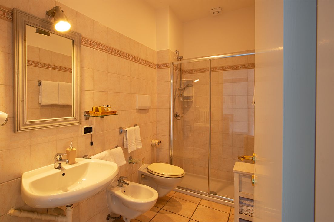 shower, free toiletries, hair dryer, bidet