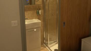 A bathroom with a glass shower enclosure, a sink, and a mirror.