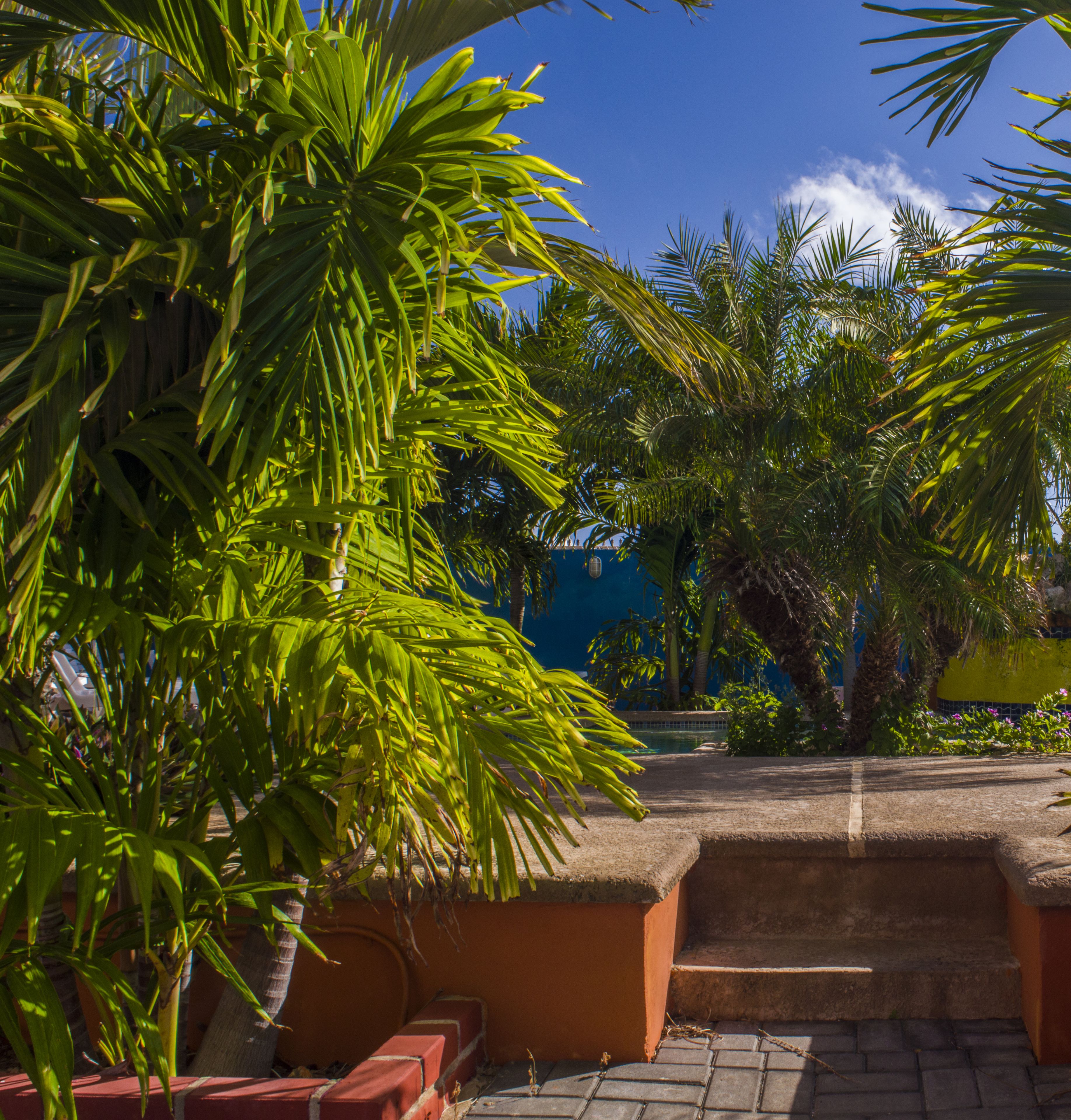 Piscina externa, funciona das 6h às 22h, espreguiçadeiras