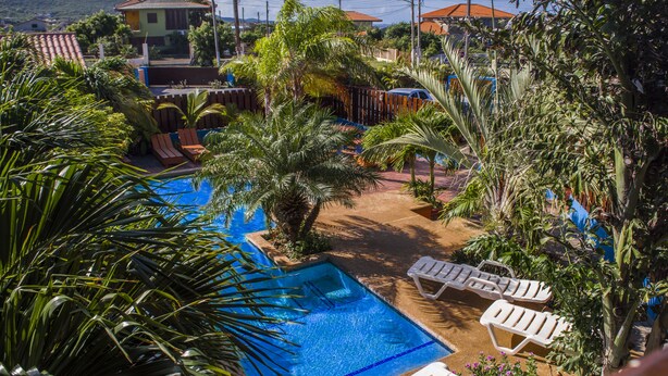 Una piscina con sillas de descanso, rodeada de palmeras y una zona vallada.