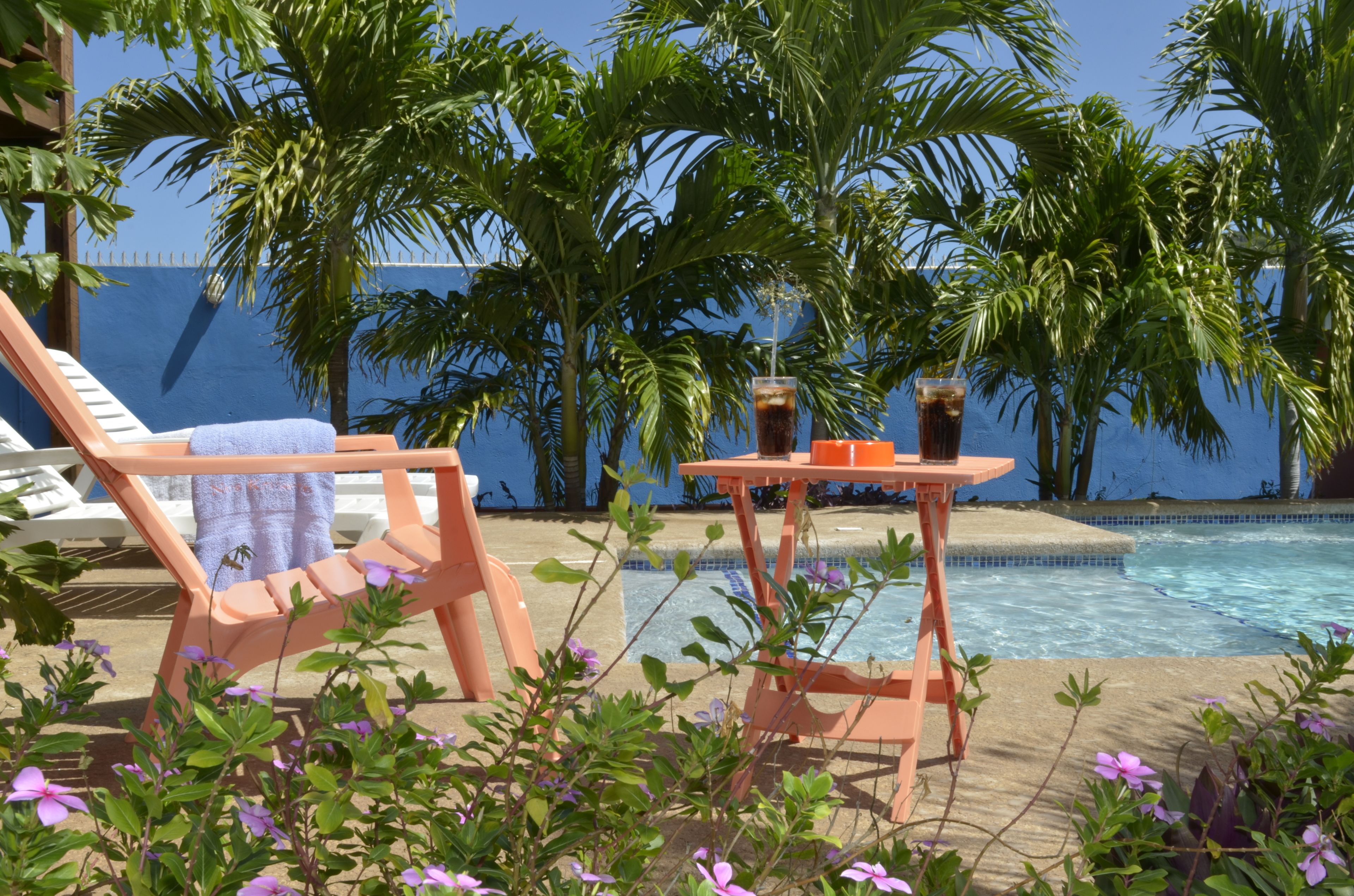 야외 수영장, 06:00 ~ 22:00 오픈, 일광욕 의자