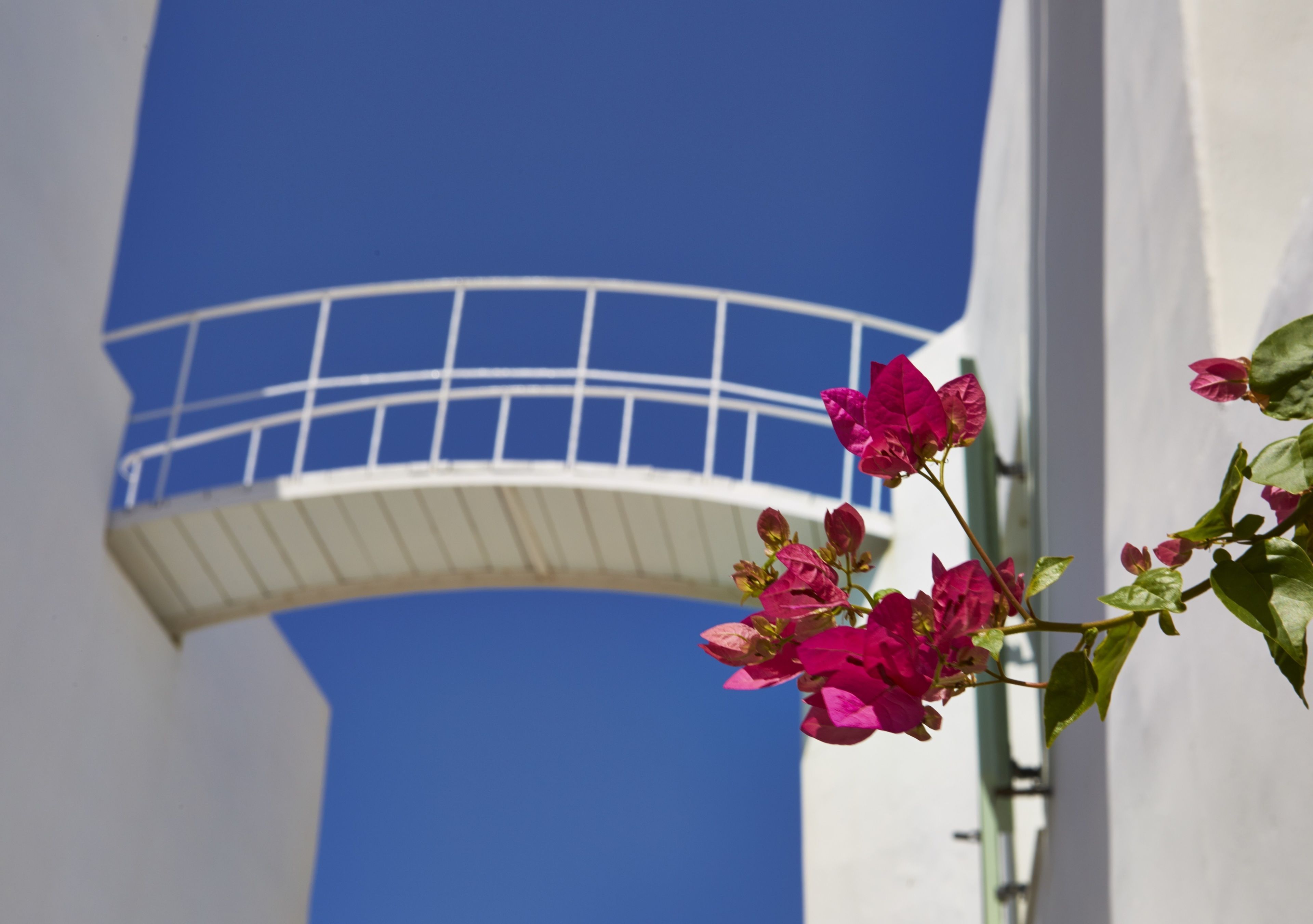 Un bâtiment blanc doté d’un balcon, avec des fleurs roses au premier plan.