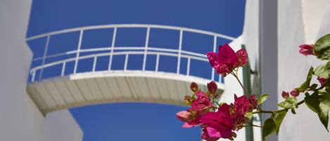 A white building with a balcony and pink flowers in the foreground.