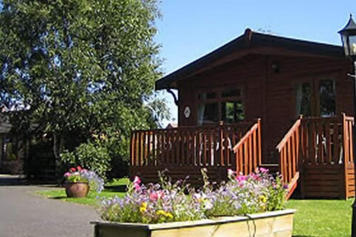 A wooden cabin with a porch, surrounded by a garden with various flowers.