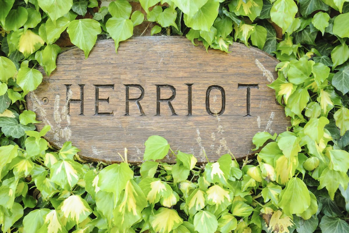 A wooden sign with the name "HERRIOT" surrounded by green ivy.