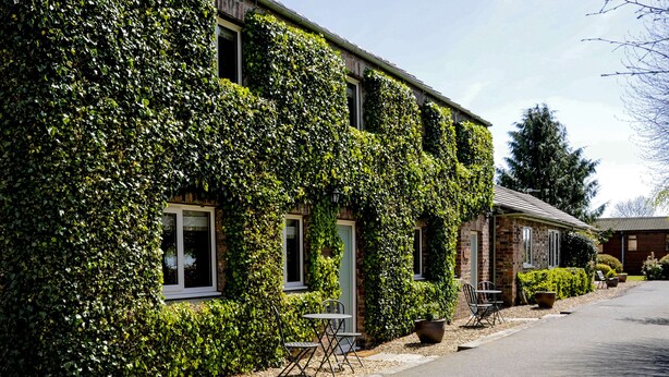 A building covered in ivy with a small outdoor seating area. - The Poplars (Thirsk)