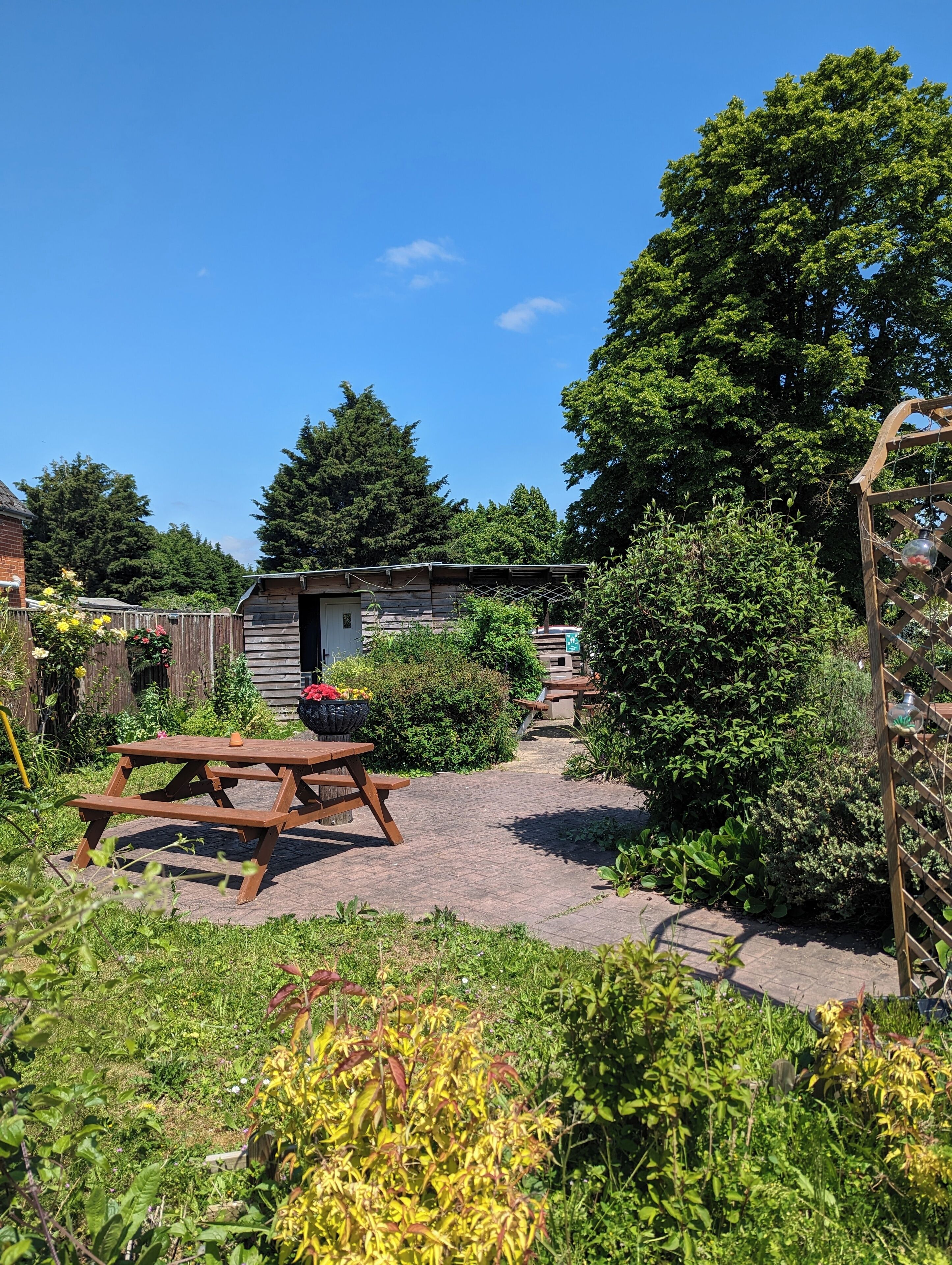 A garden with a wooden picnic table and a small shed.