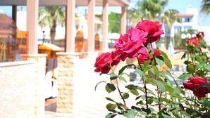 Un edificio con un espacio al aire libre techado, palmeras y rosas rojas.