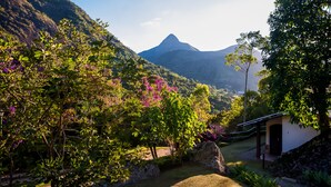 Un jardín exuberante con plantas en flor y un pequeño edificio de techo inclinado.