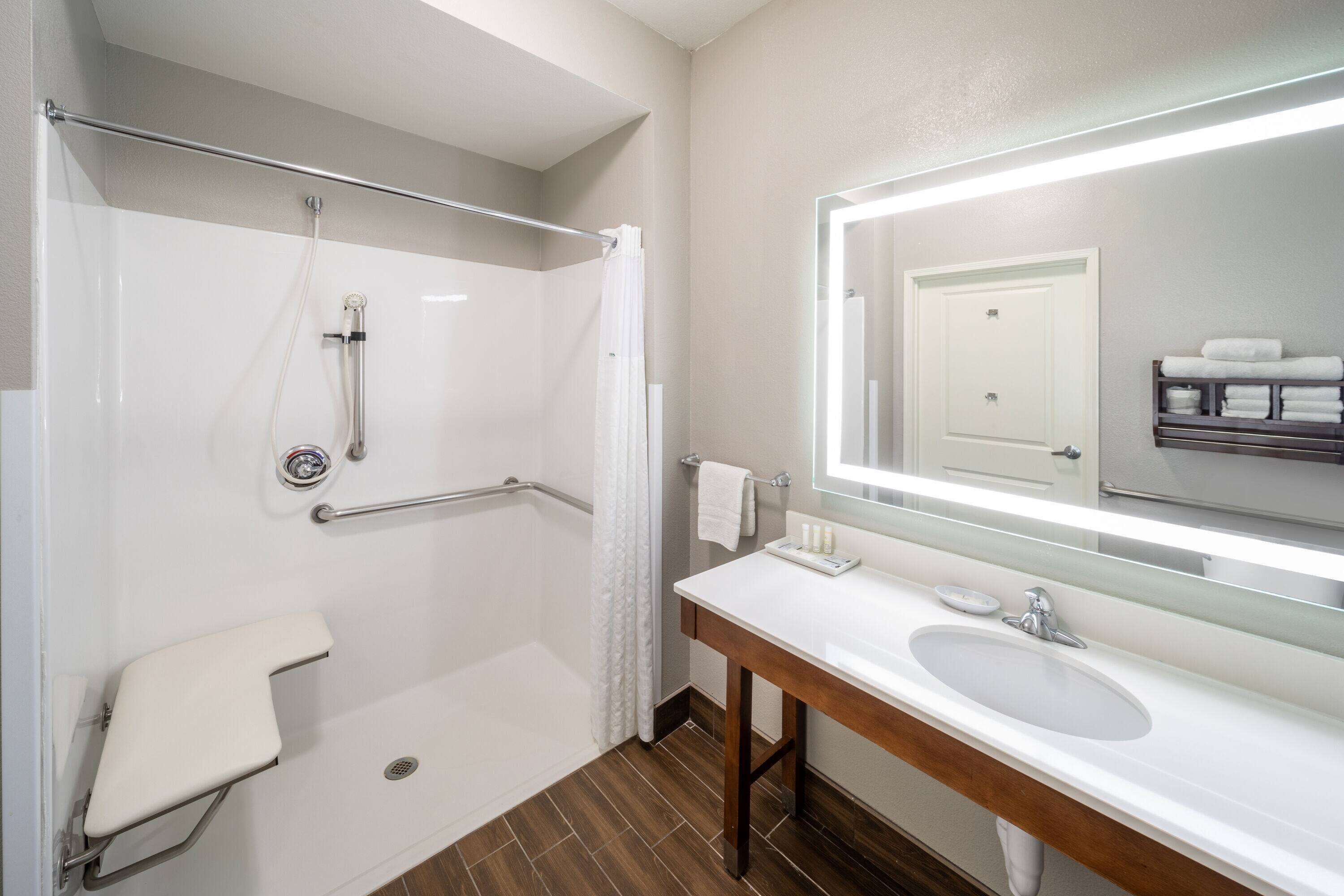 deluxe room, 1 king bed, accessible, non smoking (mobility/hearing impaired accessible) | accessible bathroom