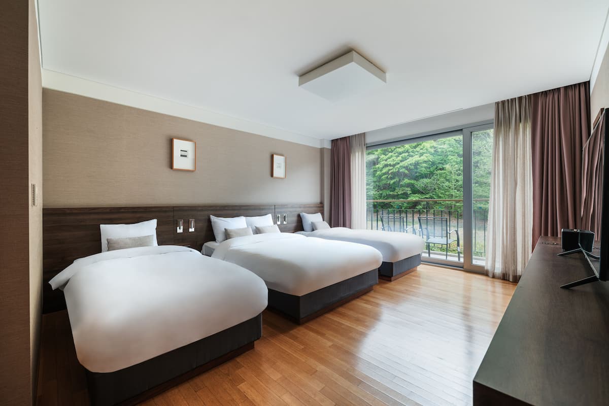 1 bedroom, desk, blackout curtains, free wifi