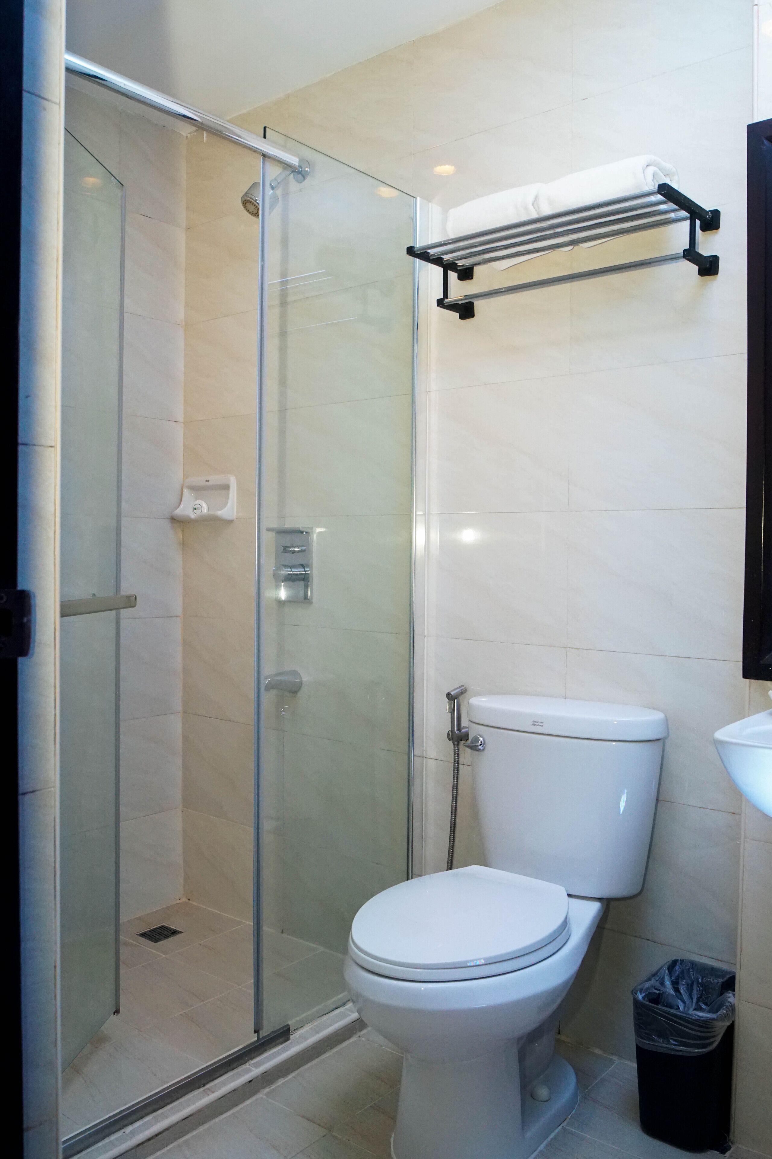 Un baño con ducha de vidrio, un inodoro blanco y un perchero para toallas.