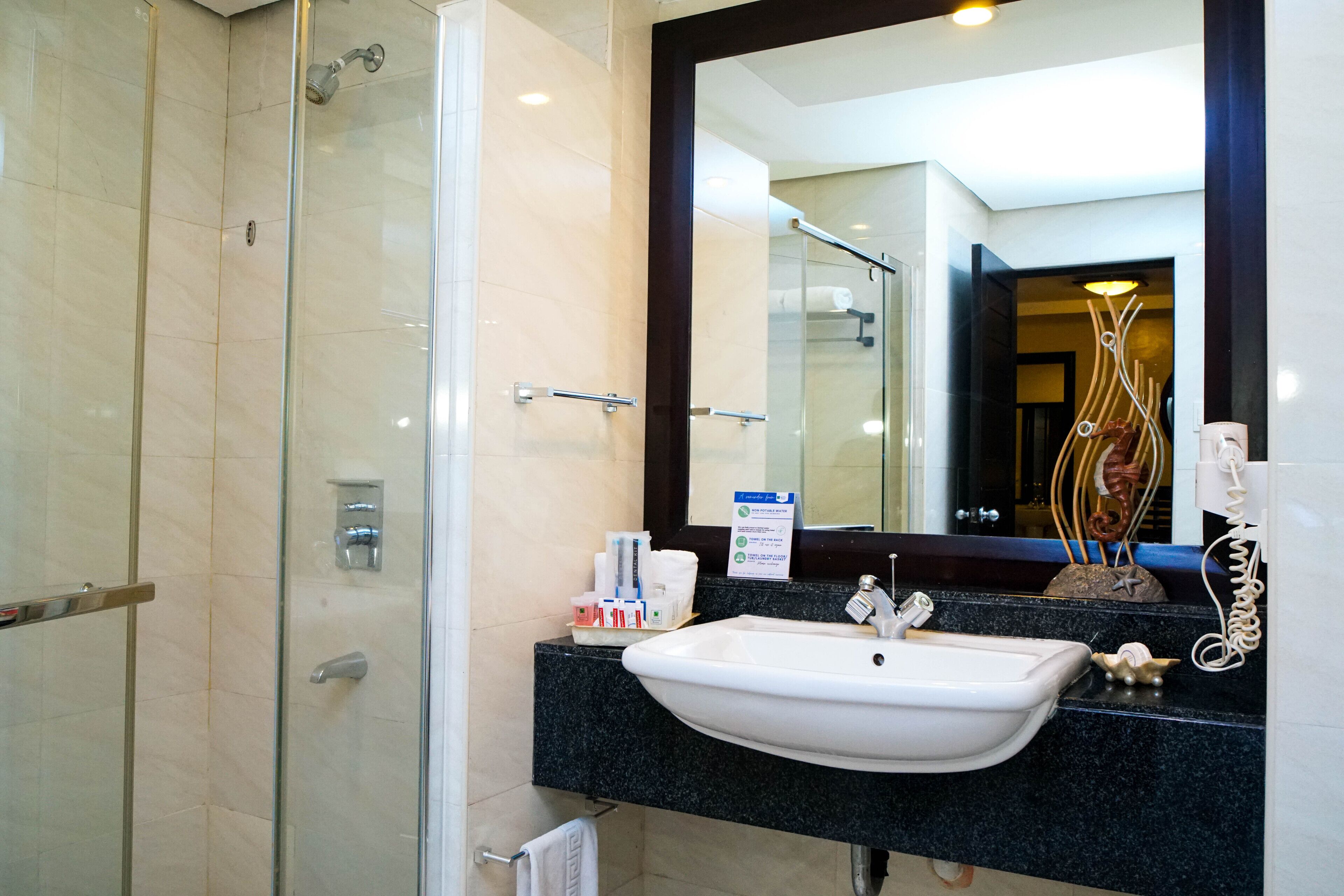 family room | bathroom | shower, hydromassage showerhead, free toiletries, hair dryer