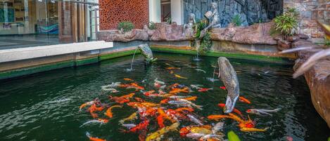 A koi pond with colorful fish, a stone wall, and a glass railing.