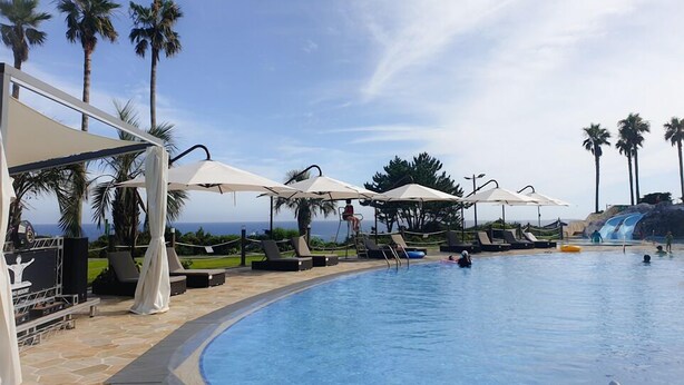 A pool area with lounge chairs and umbrellas, palm trees, and a clear sky. - Kumho Jeju Resort (Seogwipo)