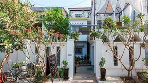 Un patio con un sendero que lleva a la entrada de un edificio, rodeado de plantas en macetas y bicicletas.