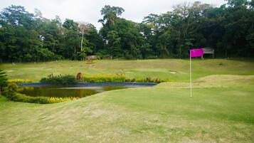 Enjoy a round of golf amidst a lush landscape with a serene pond and manicured surroundings.