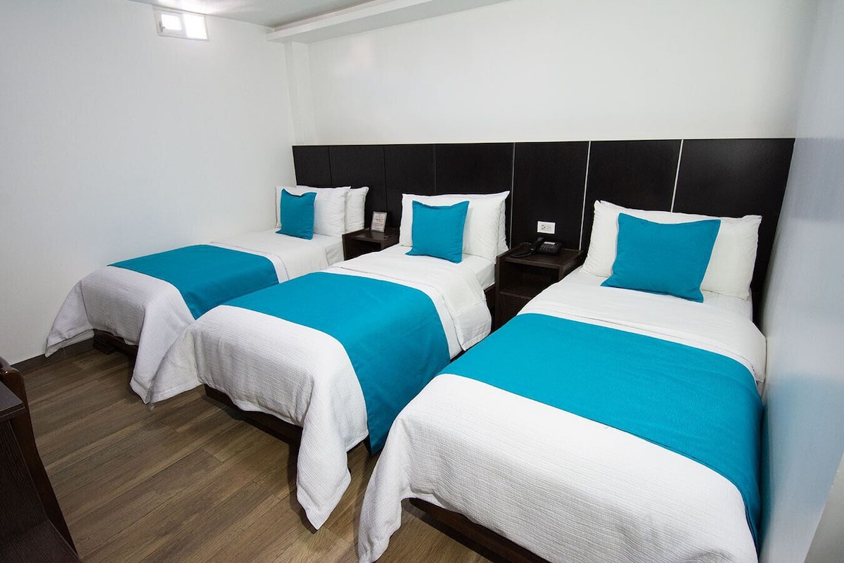Standard Triple Room, 1 Bedroom | Down duvets, pillow-top beds, minibar, desk