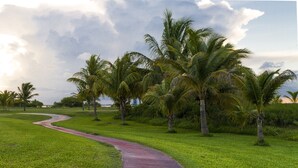 A curved pathway in a grassy area with palm trees. - Las Gaviotas Hotel & Suites (Cancun)