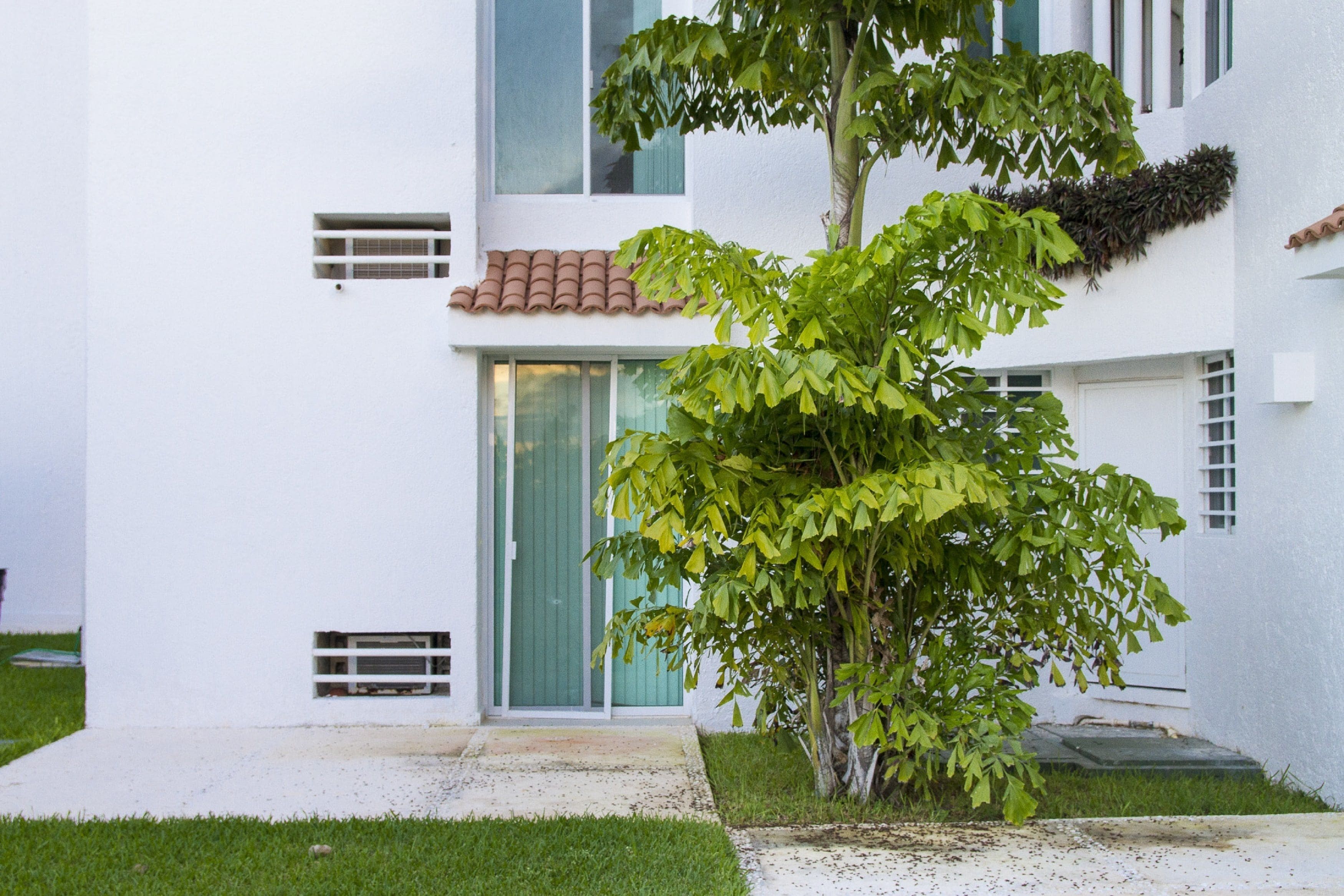 Foto - Las Gaviotas Hotel and Suites