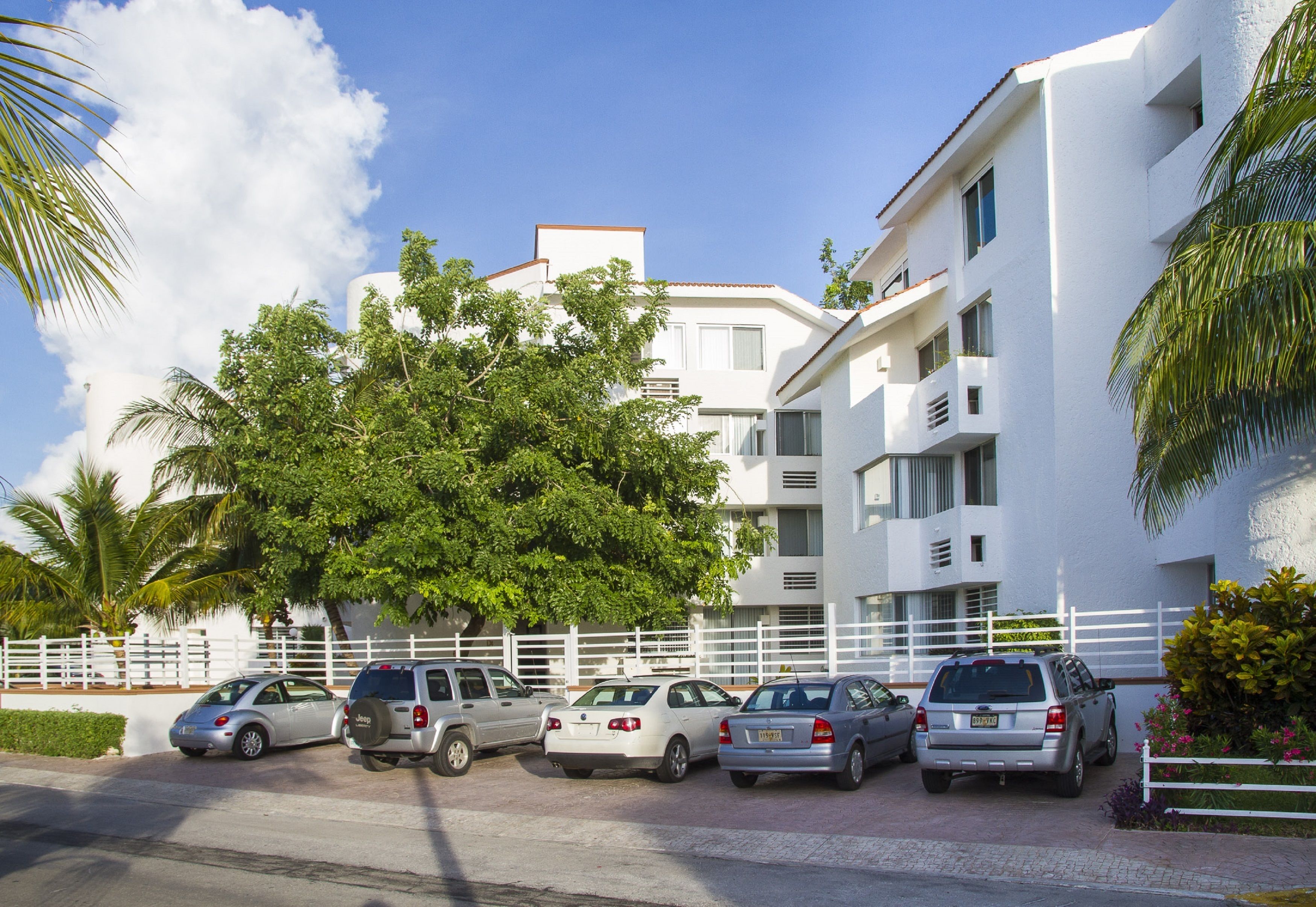 A row of parked cars in front of a white building with balconies and a large tree.