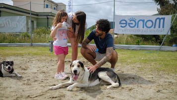 Un espace extérieur sablonneux où l’on voit un chien allongé, une personne accroupie et une autre personne debout.