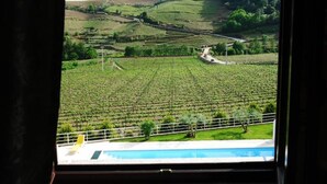 A view from a window overlooking a vineyard with terraced fields and a swimming pool in the foreground. - Solar Quinta da Portela (Santa Marta de Penaguião)
