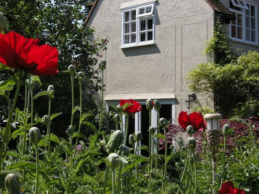 A house with a garden, including red poppies and green foliage.