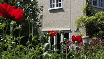 A house with a garden, including red poppies and green foliage.