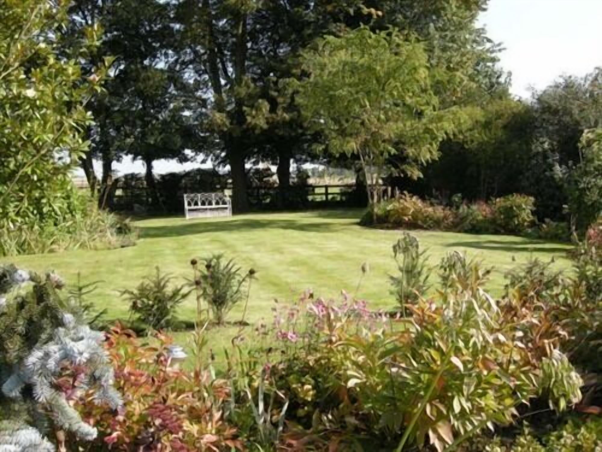 A well-maintained garden with a lawn, various shrubs, and trees.