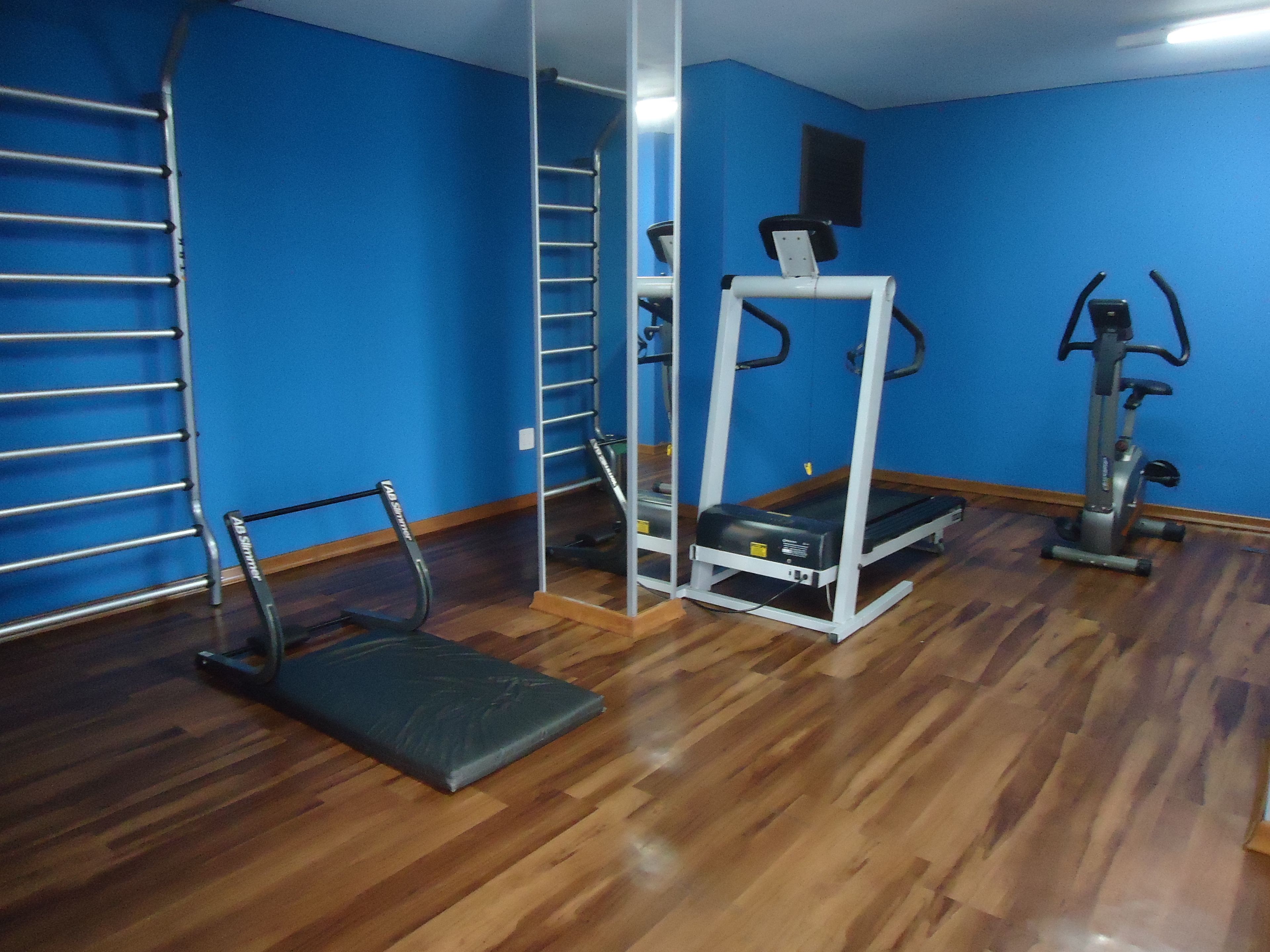 A gym with exercise equipment, a pull-up bar, and a treadmill.
