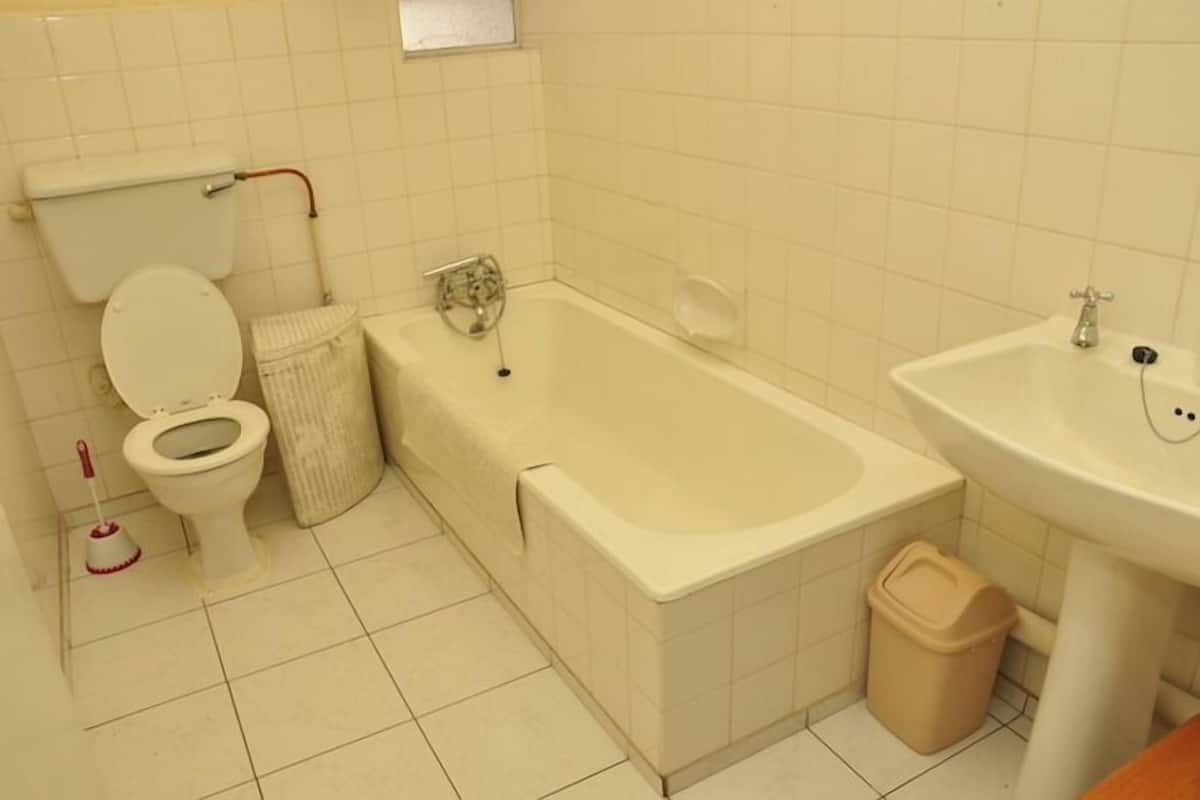 combined shower/bathtub, free toiletries, hair dryer, towels