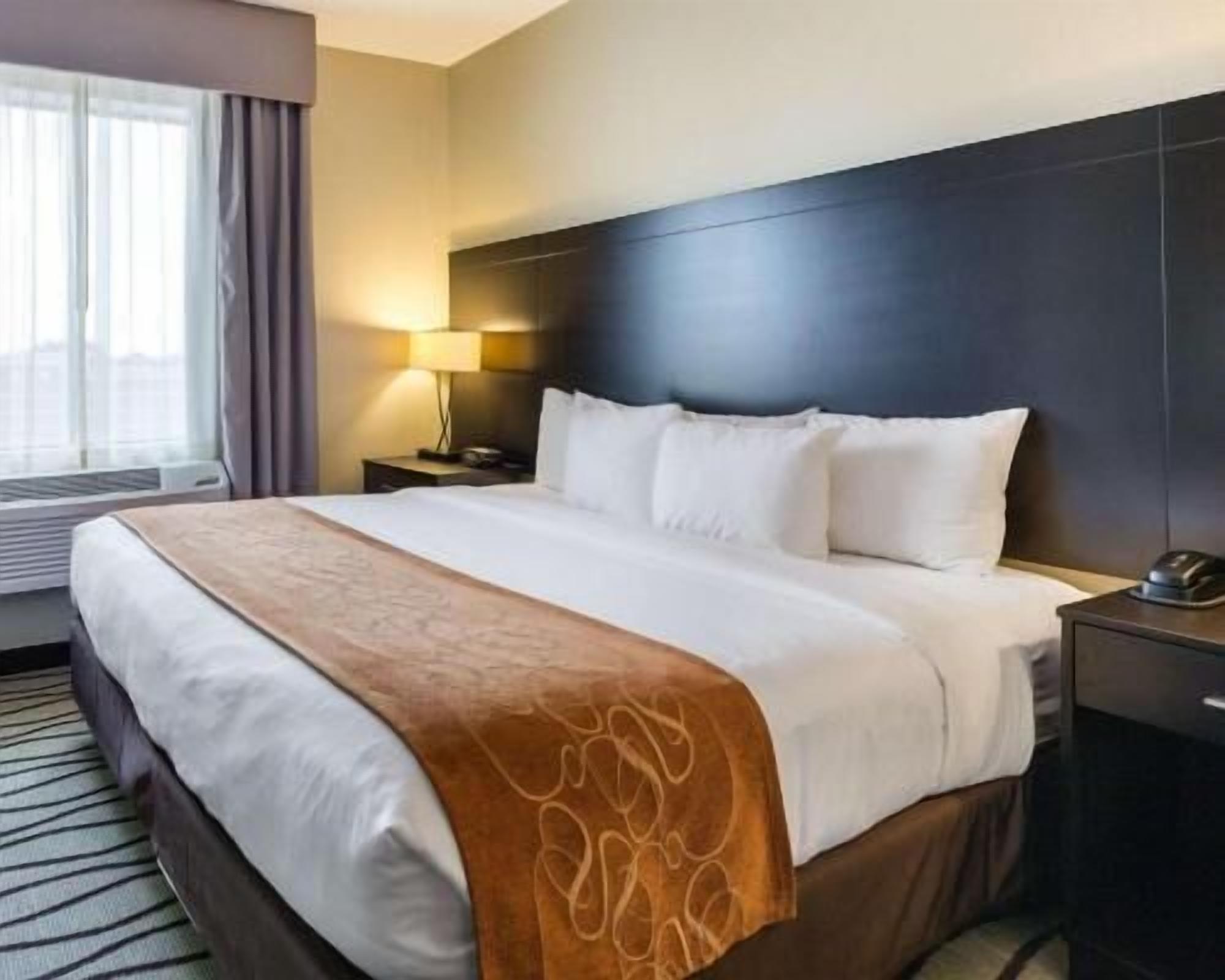 A hotel room with a large bed, a bedside table with a lamp, a window with curtains, and a dark headboard.