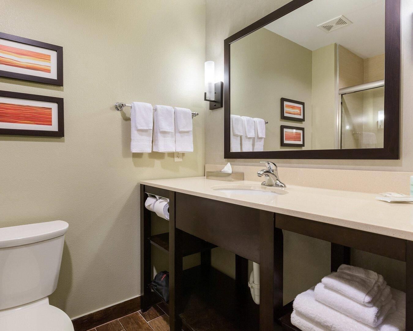 Photo - Comfort Suites near Westchase on Beltway 8