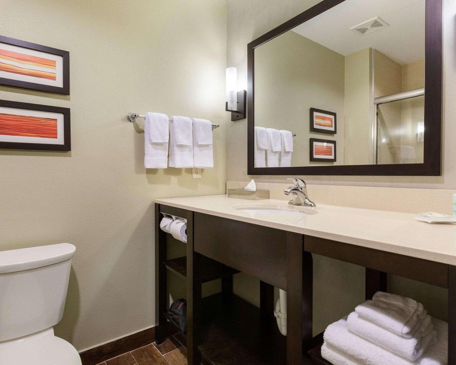 Bathroom | Combined shower/tub, free toiletries, hair dryer, towels