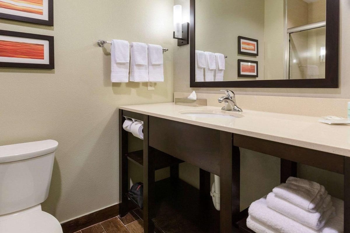 Bathroom | Combined shower/tub, free toiletries, hair dryer, towels