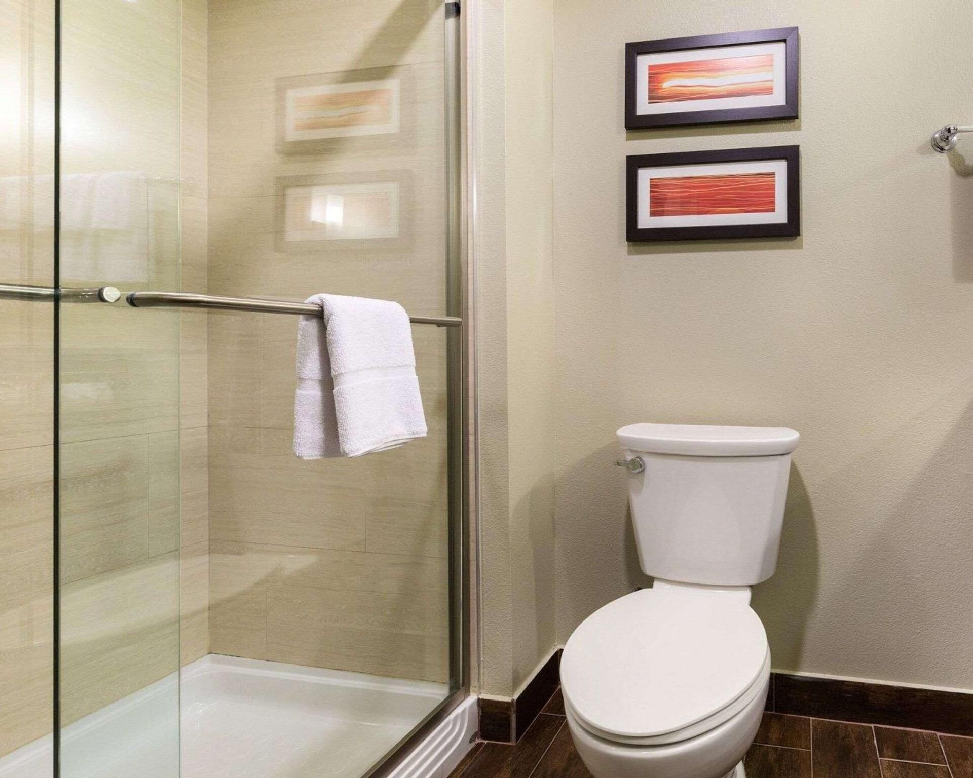 Bathroom | Combined shower/tub, free toiletries, hair dryer, towels