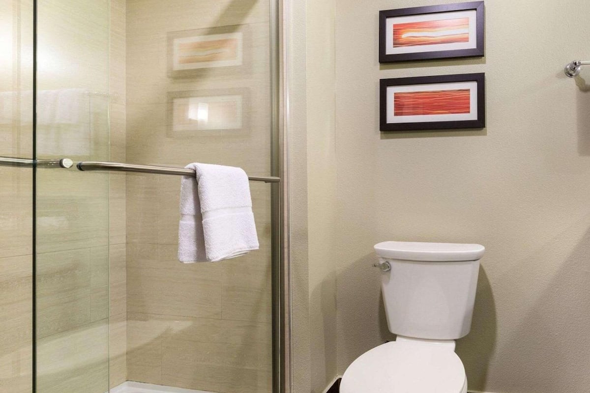 Bathroom | Combined shower/tub, free toiletries, hair dryer, towels