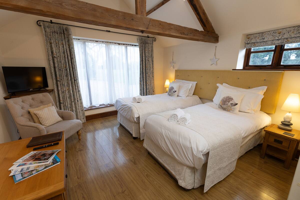 Quarto de hotel com duas camas, televisão, uma cadeira e piso de madeira.