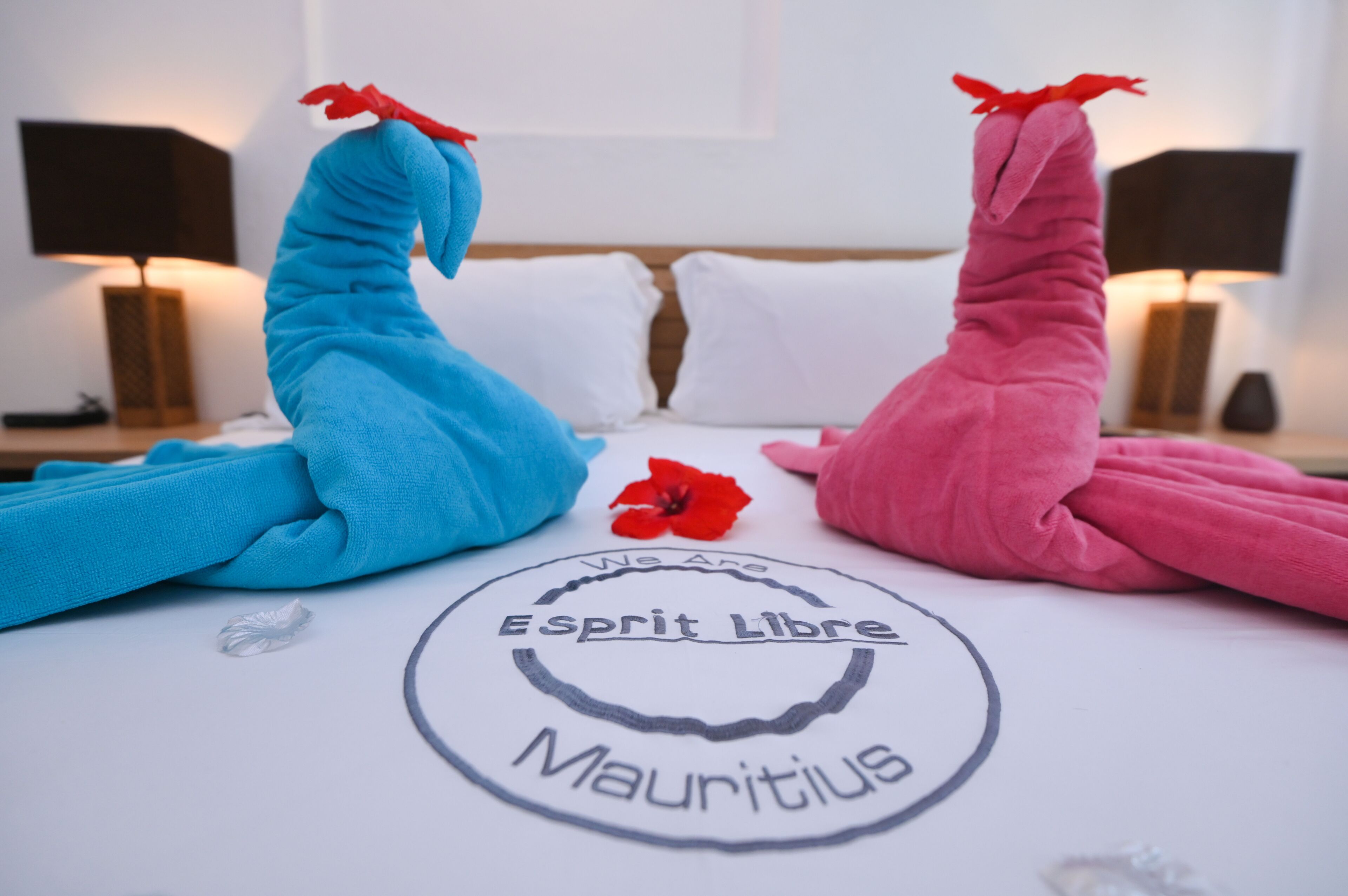 Una cama con peluches en azul y rosa, una flor roja y un logotipo circular con la inscripción 'Esprit Libre Mauritius'.