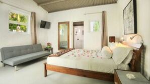 A bedroom with a bed, a sofa, a TV, and a bathroom door.